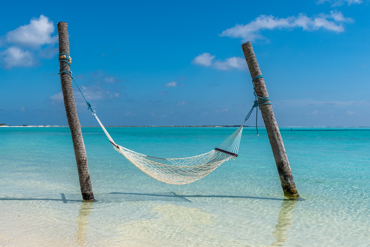 Person resting in a hammock overlooking a calm ocean
