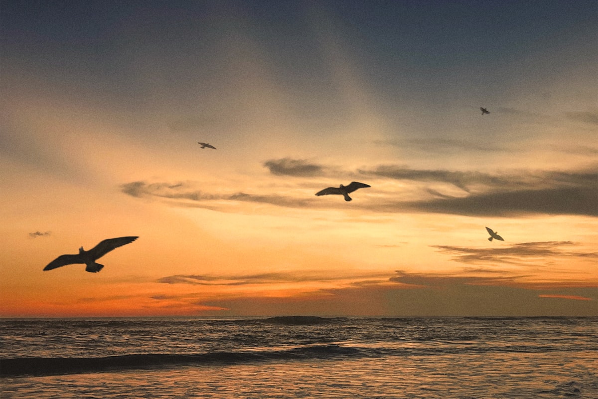 Canggu Echo Beach sunset surfing
