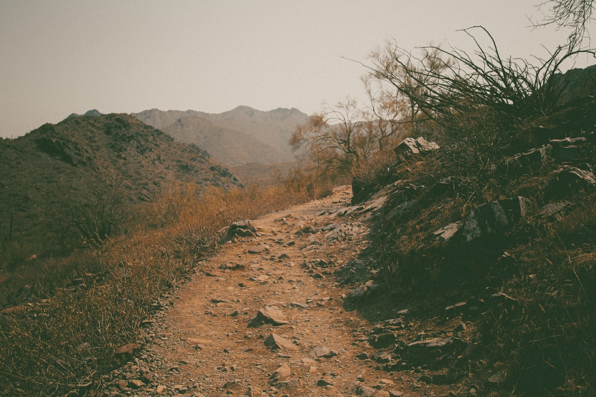 Hiker overlooking a valley with laptop in backpack